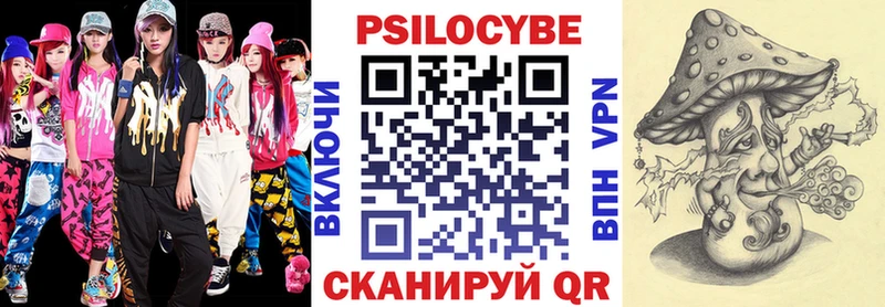 Купить  Кукмор  Галлюциногенные грибы GOLDEN TEACHER 